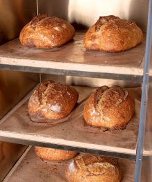Rofco og surdeigsbrød